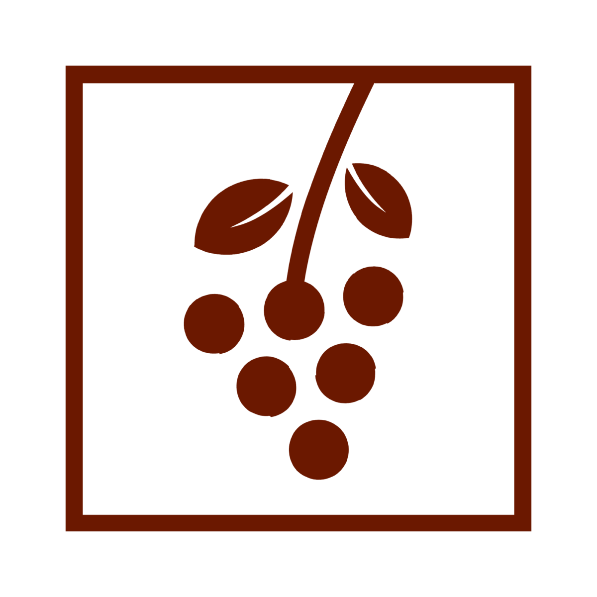 Logo Raisin de vivre